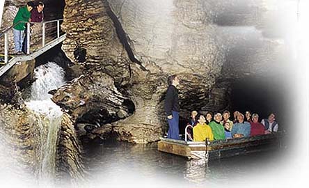 Glow Worm Caves, Te Anau, New Zealand