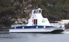 Underwater Experience, Stewart Island, New Zealand