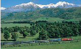 TranzAlpine Train.