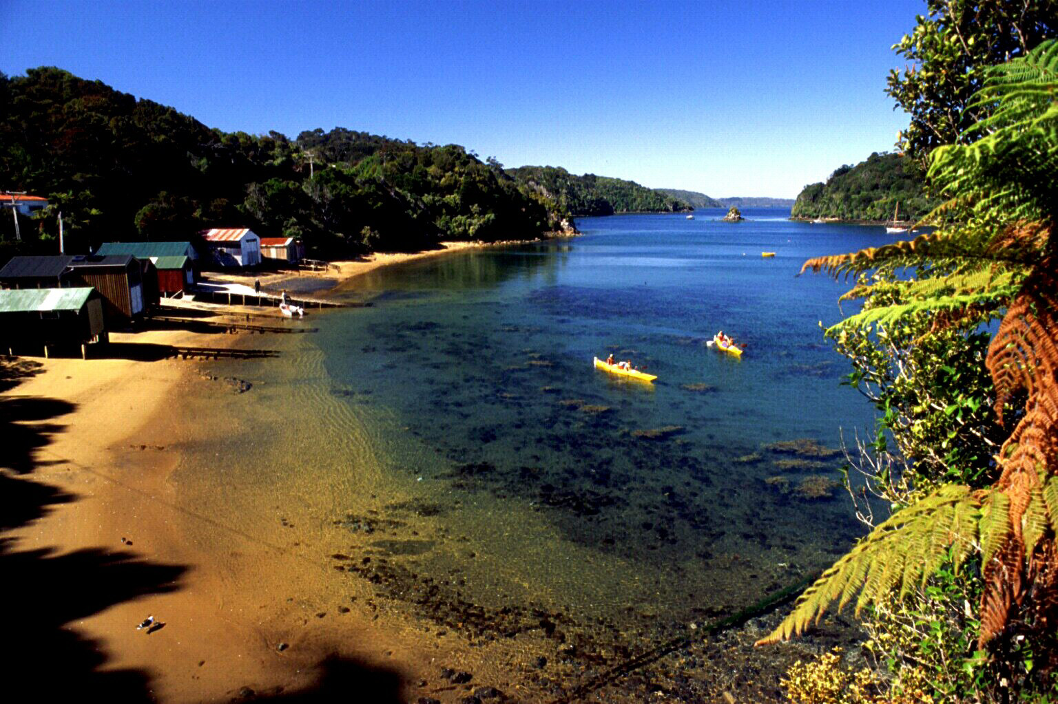 Stewart Island, New Zealand