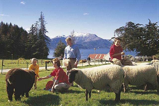 Sheep Farm - click to view a full description.