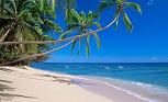 Enjoy the Beautiful Fiji Beaches