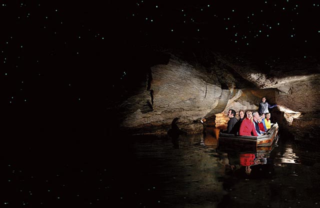 Waitomo Caves - click to view a full description.