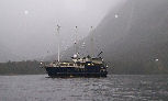 Milford Sound, Queenstown, New Zealand